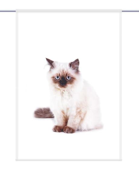 Scheibenhänger Majesti – rechteckig